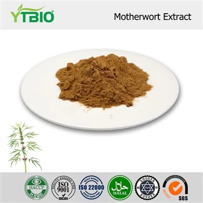 پودر عصاره Motherwort